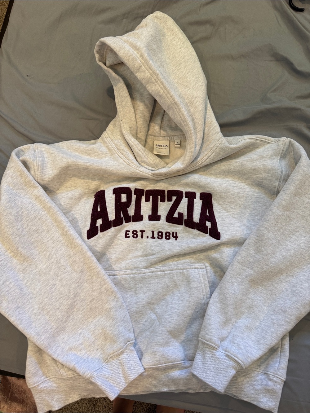 Aritzia Light Gray Hoodie with Burgundy Logo